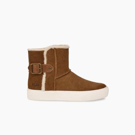 UGG Aika Suede Brown Sneakers for Women (XAMQ12087)